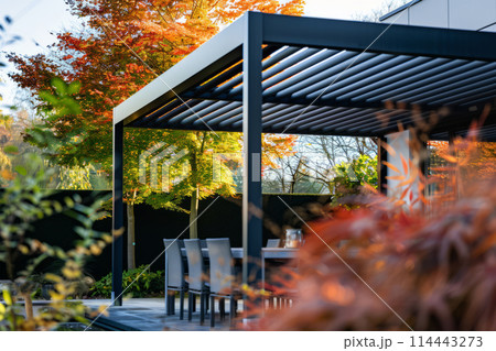 Outdoor patio pergola. Beautiful terrace lounge with pergola 114443273