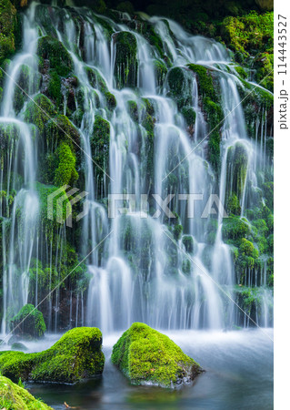 「秋田県」春の元滝伏流水の風景 114443527