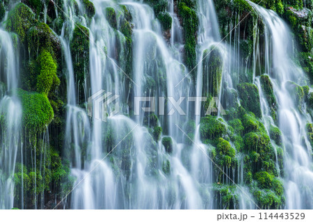 「秋田県」春の元滝伏流水の風景 114443529