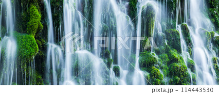 「秋田県」春の元滝伏流水の風景 「秋田県」春の元滝伏流水の風景 114443530