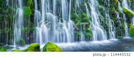 「秋田県」春の元滝伏流水の風景 114443532