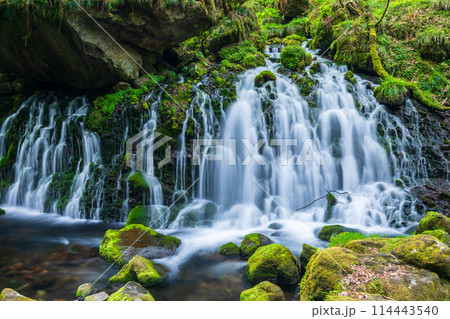 「秋田県」春の元滝伏流水の風景 「秋田県」春の元滝伏流水の風景 114443540