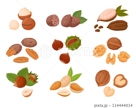 Nuts set. Cartoon organic raw almonds, macadamia and walnut, tasty snacks for vegetarian diet flat vector illustration set. Nuts collection on white 114444014