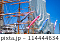 日本丸メモリアルパークの鯉のぼり 114444634