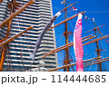 日本丸メモリアルパークの鯉のぼり 114444685