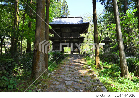 龍穏寺の山門　 越生町　　　 114444926