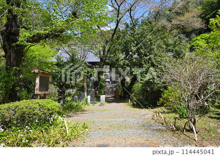 龍穏寺 境内 春 新緑の風景 越生町 龍穏寺 境内 春 新緑の風景 越生町 114445041