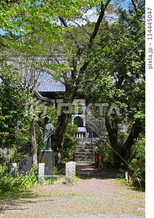 龍穏寺　境内　春　新緑の風景　 越生町　　　 114445047