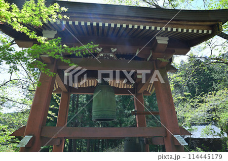 龍穏寺　鐘楼　春　新緑の季節　 越生町　　　 114445179