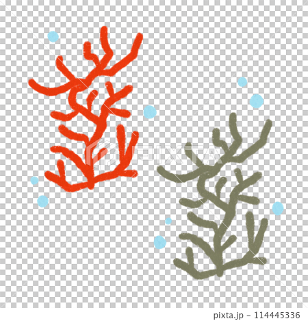 ふたつのサンゴ2(オレンジ×グレー) 114445336