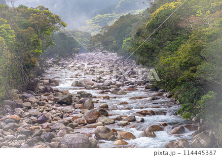 新緑が映える 宮之浦川渓谷 洋上アルプス屋久島 新緑が映える 宮之浦川渓谷 洋上アルプス屋久島 114445387