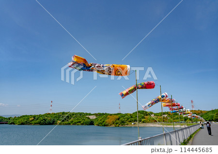三重県四日市市　初夏の伊坂ダムの湖面とこいのぼり 114445685