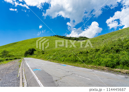 夏の長野　車山高原のビーナスラインの道路 114445687