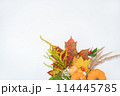 Still life with autumn thousand, maple leaves and foliage. Cozy composition bouquet on a white background. Autumn aesthetic concept. Copy space 114445785