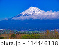 富士川鉄橋と富士山 114446138