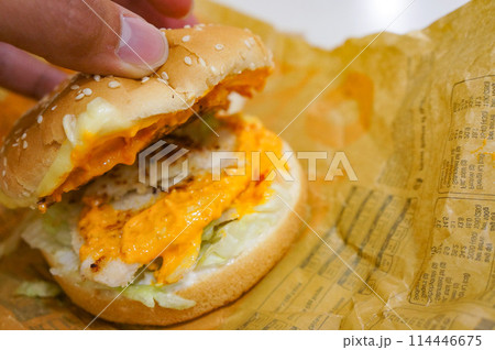 チーズハンバーガーの中を見てみた チーズハンバーガーの中を見てみた 114446675