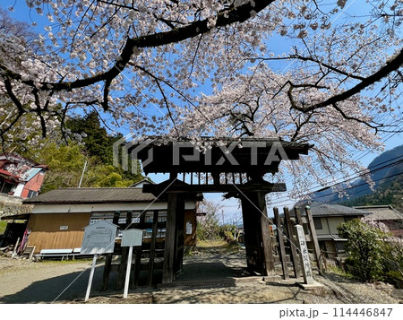 【群馬】碓氷関所跡 114446847