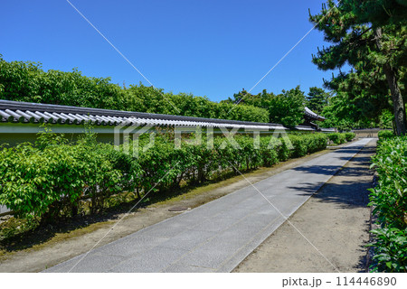 建仁寺 伽藍 建仁寺 伽藍 114446890