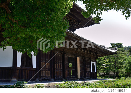 建仁寺 法堂 建仁寺 法堂 114446924