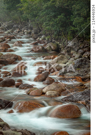 宮之浦川渓谷　洋上アルプス屋久島(春 114446934