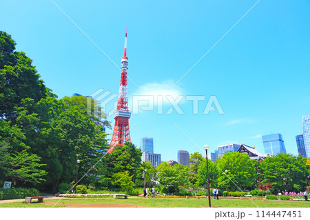東京都港区、東京タワーの風景 東京都港区、東京タワーの風景 114447451
