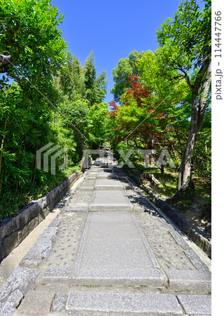 高台寺 参道の石段 高台寺 参道の石段 114447766