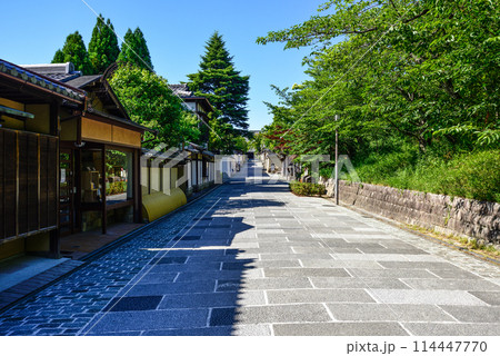 新緑の「ねねの道」 114447770
