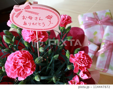 カーネーション　贈り物 114447872