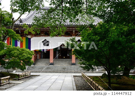 新緑の智積院 新緑の智積院 114447912