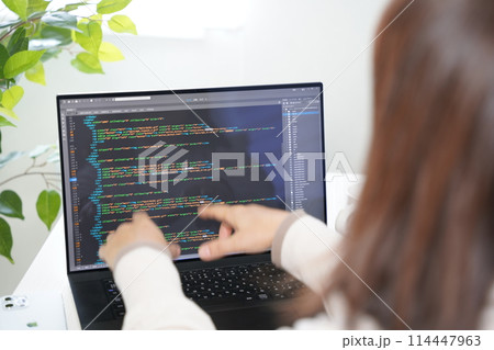 プログラミングの編集作業をする女性 プログラミングの編集作業をする女性 114447963