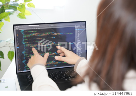ウエブデザイナーの勉強をする女性 114447965