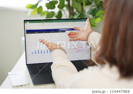 表計算のミスを訂正作業する社員 114447968