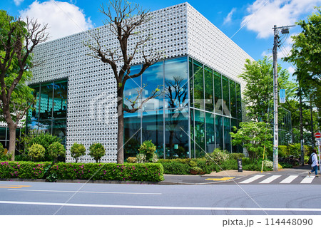 東京渋谷区　新緑の代官山T-SITE付近の風景 114448090