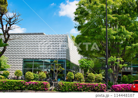 東京渋谷区　新緑の代官山T-SITE付近の風景 114448107