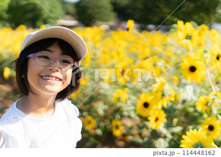 ひまわり ヒマワリ 子供 ひまわり ヒマワリ 子供 114448162