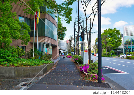 東京渋谷区　新緑の代官山T-SITE付近の風景 114448204