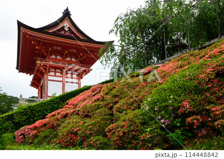 清水寺 仁王門(赤門) 清水寺 仁王門(赤門) 114448842
