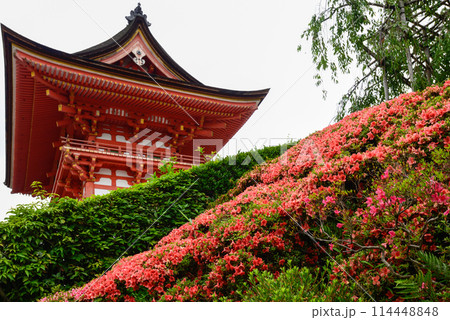 清水寺 仁王門(赤門) 清水寺 仁王門(赤門) 114448848