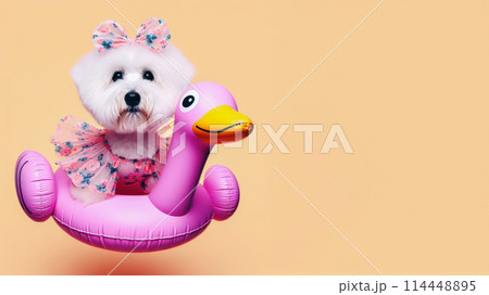 Funny dog wearing summer fashion with rubber ring on pastel background. Summer Vacation Concept. Funny dog wearing summer fashion with rubber ring on pastel background. Summer Vacation Concept. 114448895