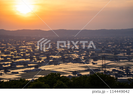 水が張られた田んぼに美しく反射する太陽の夕景｜散居村展望広場より撮影｜富山県砺波市 114449042