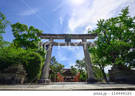 豊国神社　大鳥居 114449183