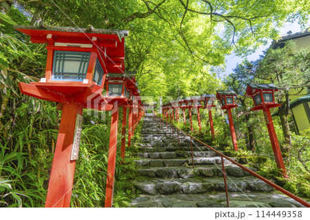 新緑の貴船神社　朱色の灯篭と石段 114449358