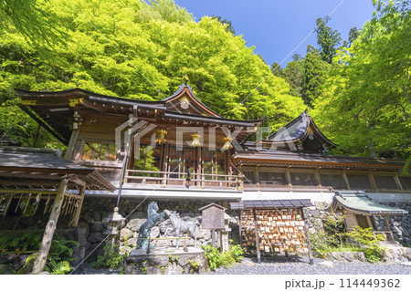 新緑の貴船神社本宮　本殿 114449362