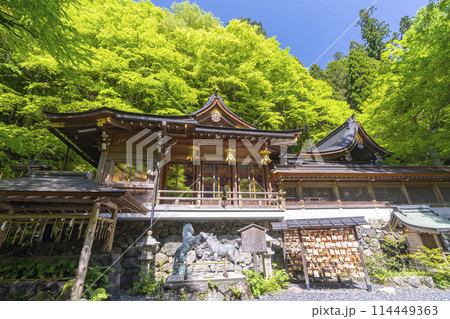 新緑の貴船神社本宮　本殿 114449363