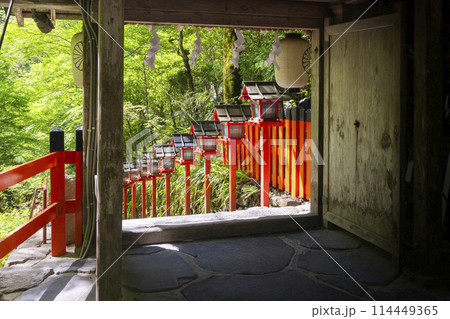 新緑の貴船神社　中門から見える朱色の灯篭と石段 114449365