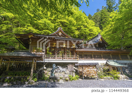 新緑の貴船神社本宮 拝殿と本殿 新緑の貴船神社本宮 拝殿と本殿 114449368