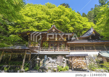 新緑の貴船神社本宮 拝殿と本殿 新緑の貴船神社本宮 拝殿と本殿 114449370
