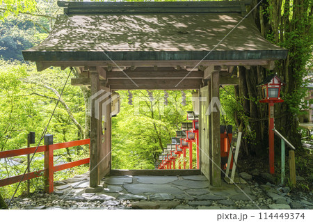 新緑の貴船神社　中門から見える朱色の灯篭と石段 114449374