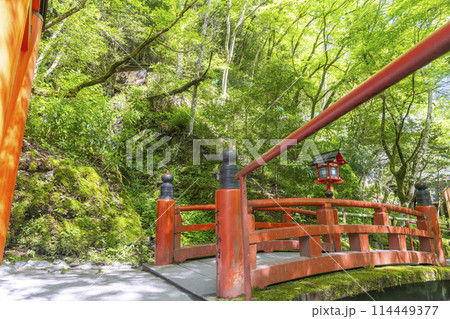 新緑の貴船神社 鈴鹿川に架かる鈴鹿橋 新緑の貴船神社 鈴鹿川に架かる鈴鹿橋 114449377