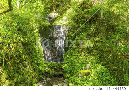 新緑の貴船神社　鈴鹿川に架かる鈴鹿橋 114449380